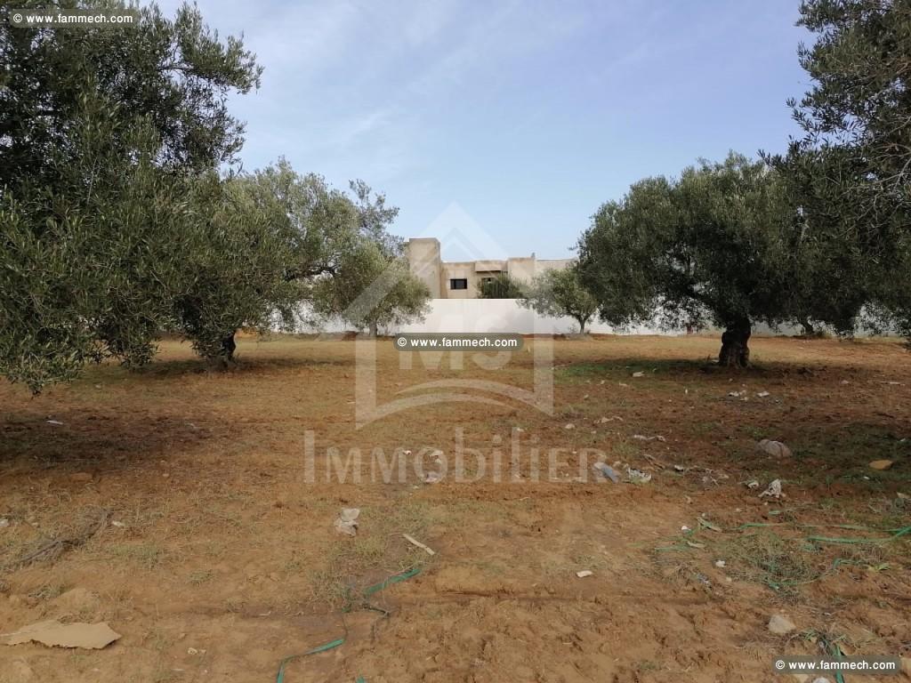 à vendre un terrain 318m² à MREZGA 51333131