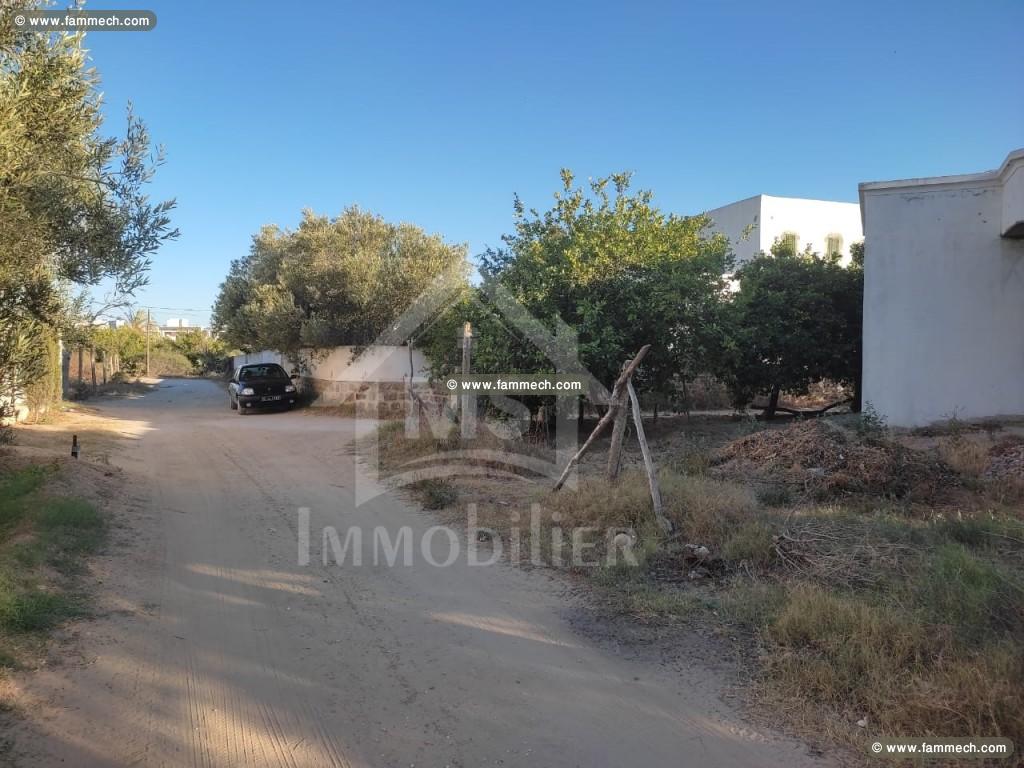 à Vendre Un TERRAIN 480m² à HAMMAMET 51333131