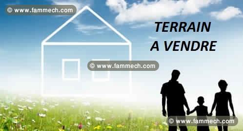 A vendre un terrain à 220 m² situé a la soukra 