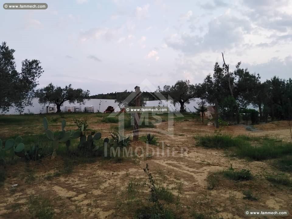 à vendre un terrain à HAMMAMET SUD 51333131