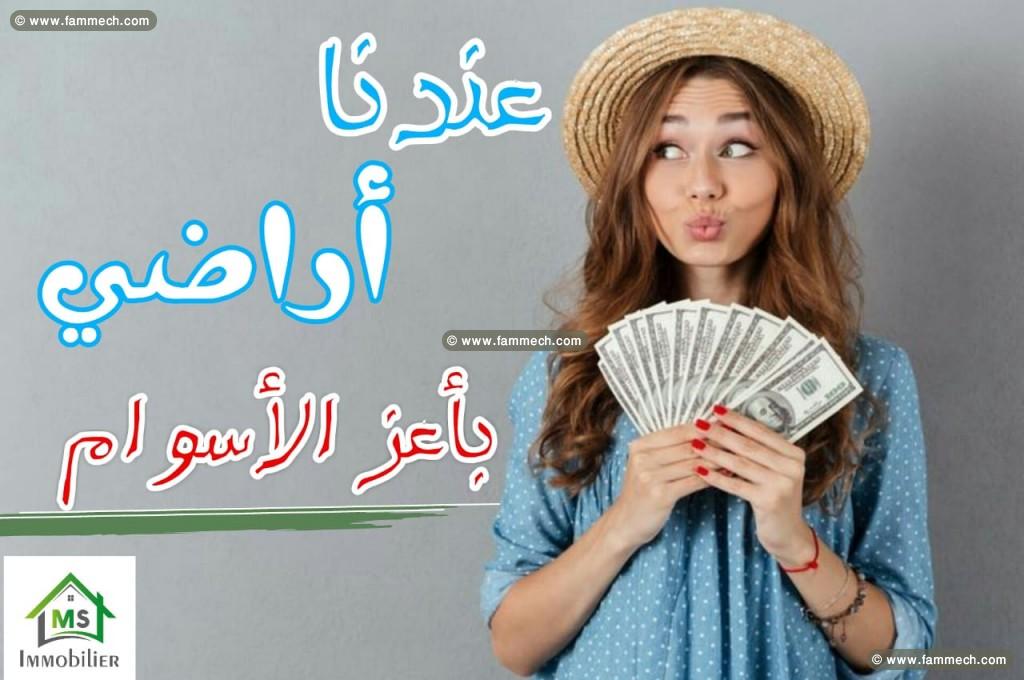 à vendre un terrain à hammamet sud 51333131