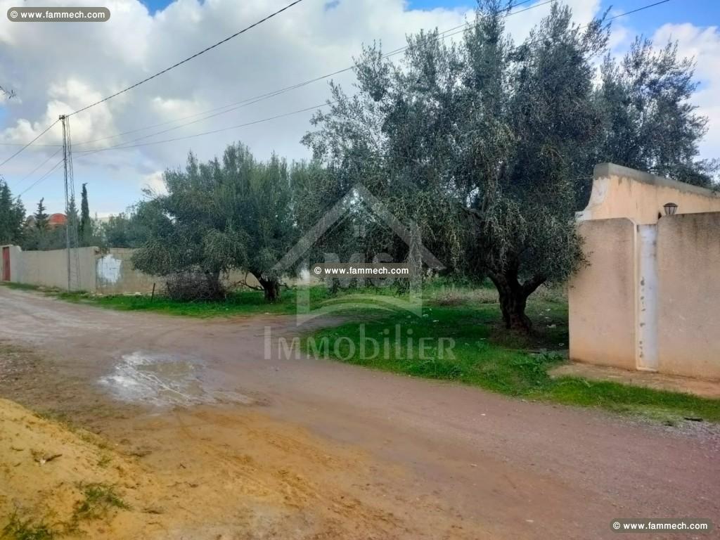 à vendre un terrain à hammamet sud 51333131