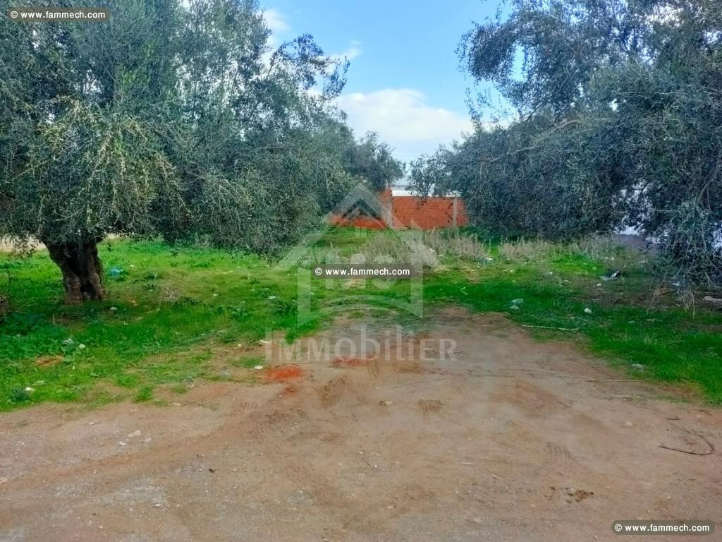 à vendre un terrain à HAMMAMET SUD 51333131