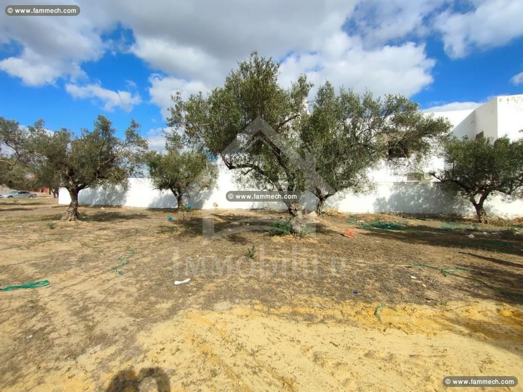 à vendre UN TERRAIN à HAMMAMET NORD 51333131
