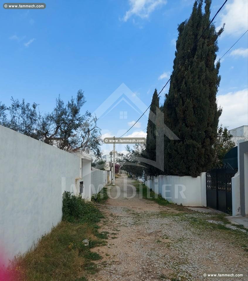 à vendre un terrain à HAMMAMET 51333131