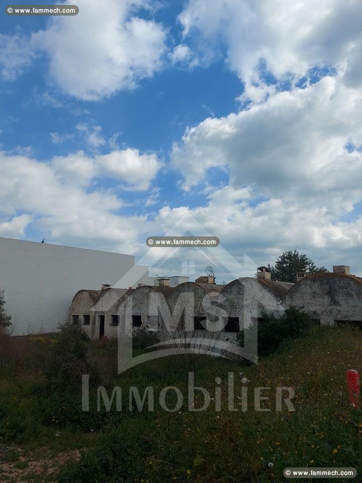 à vendre un terrain à HAMMAMET 51333131