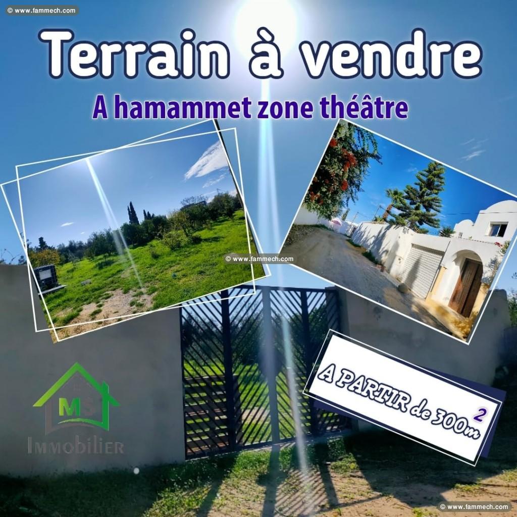 à VENDRE UN TERRAIN à HAMMAMET 51333131