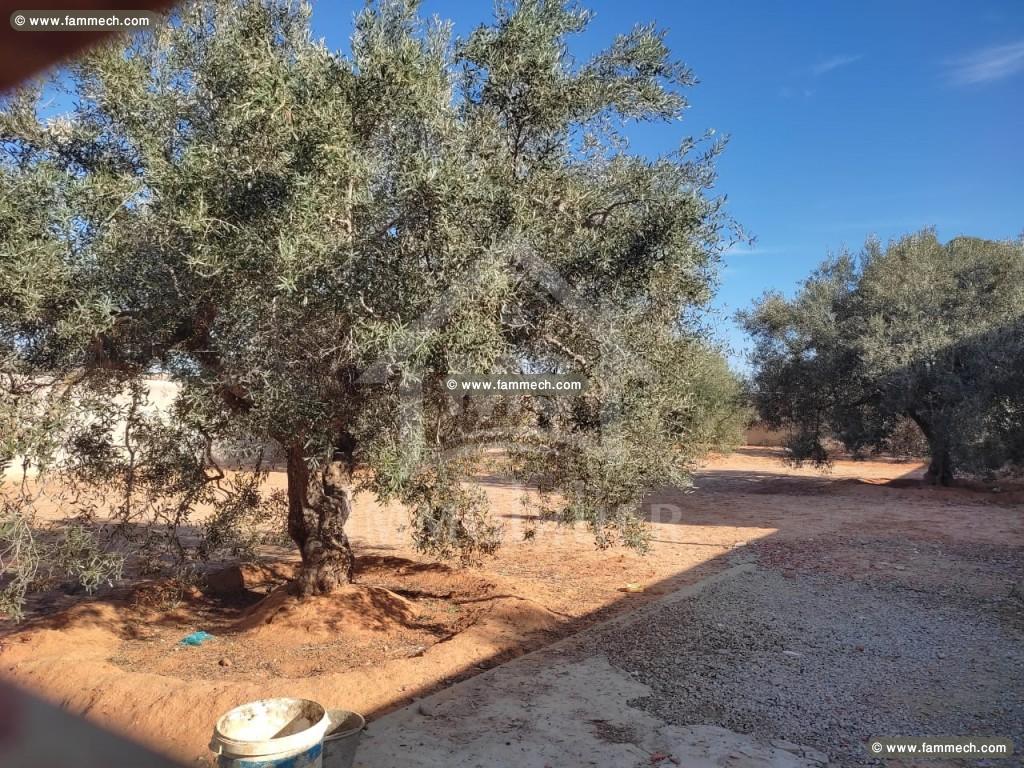 à vendre un TERRAIN à HAMMAMET SUD 51333131