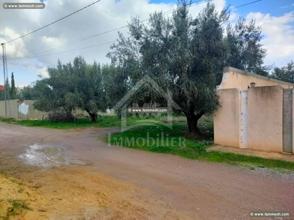 à vendre un terrain à HAMMAMET SUD 51333131