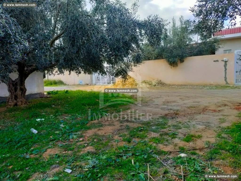 à vendre un terrain à HAMMAMET SUD 51333131