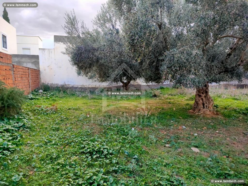 à vendre un terrain à HAMMAMET SUD 51333131