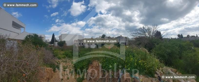 à vendre un TERRAIN à HAMMAMET 51333131