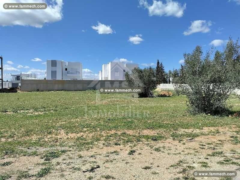 à vendre un terrain à HAMMAMET SUD 51333131
