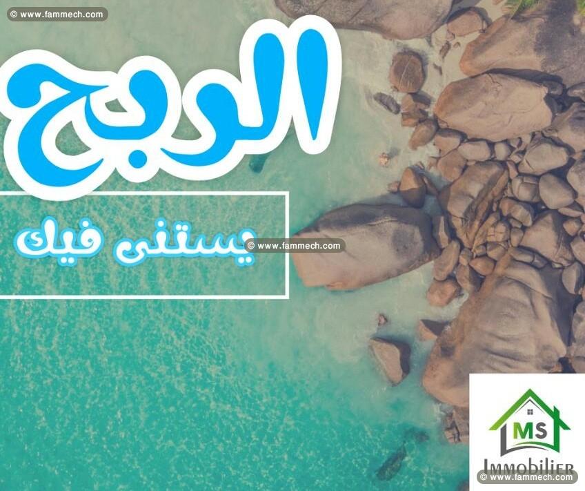 à vendre un terrain à HAMMAMET SUD 51333131