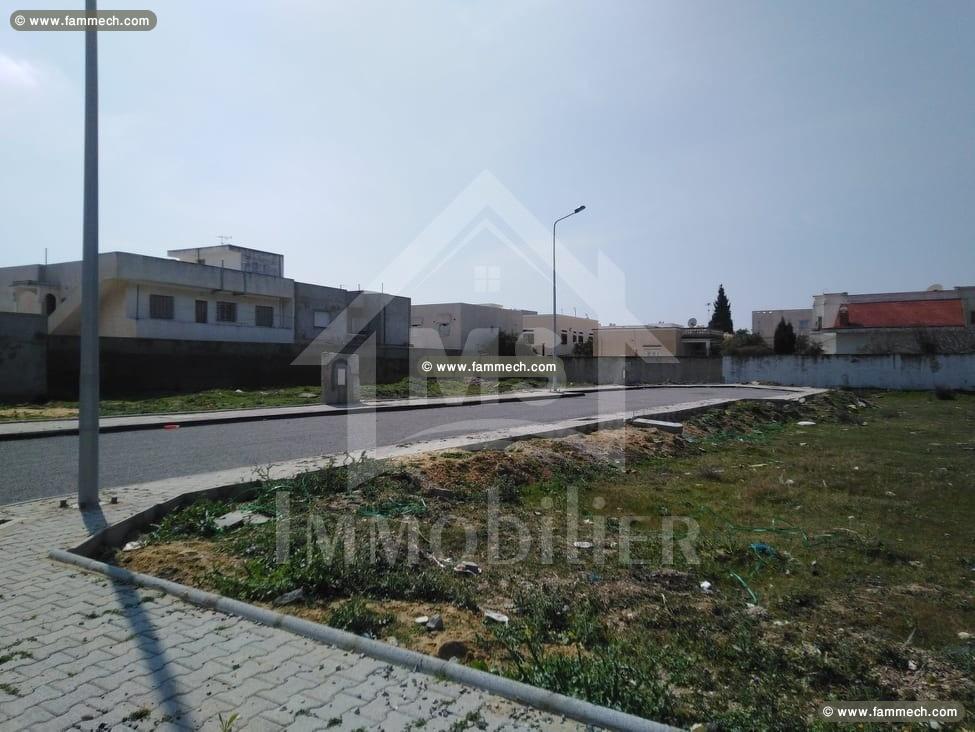 à vendre un terrain à nabeul 51333131