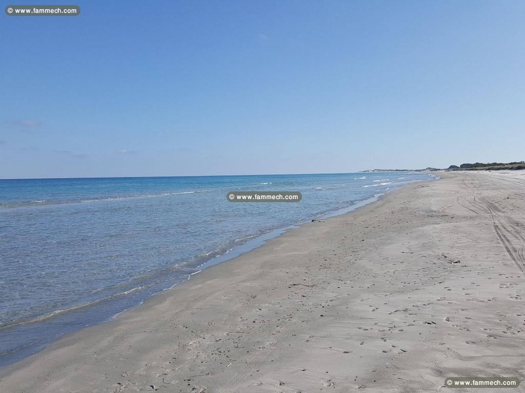 A vendre un terrain de 01 ha titre foncier 