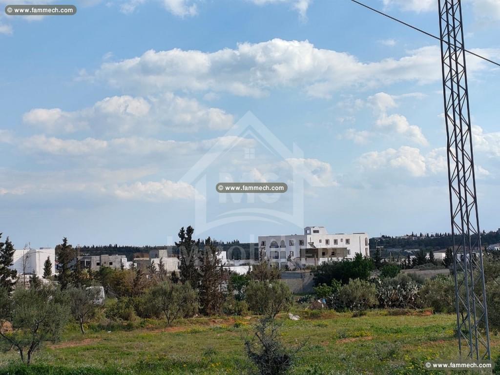 à vendre un terrain de 200m² à 29MD à HAMMAMET SUD