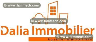agence immobilier hammmamet dalia immobilier