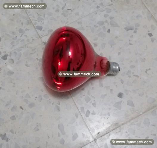 Ampoule infrarouge à vis E27 220V 250W pour lampe 