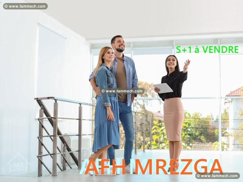 Appartement à AFH MREZGA à vendre à 165 MD 