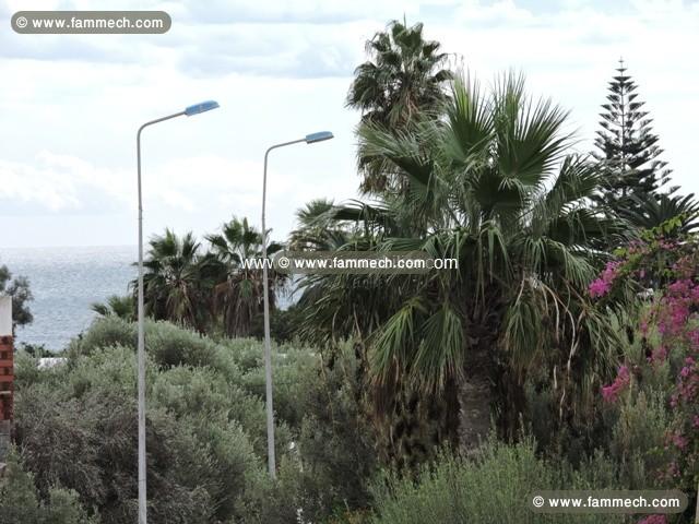 appartement diar chadlia AV680 sidi el mahersi 