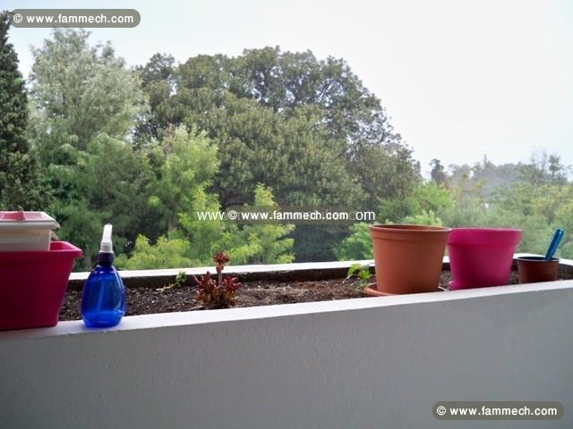 Appartement Lisa AL1142