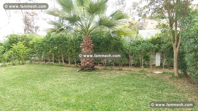 Appartement NAYFER (Réf: V346)