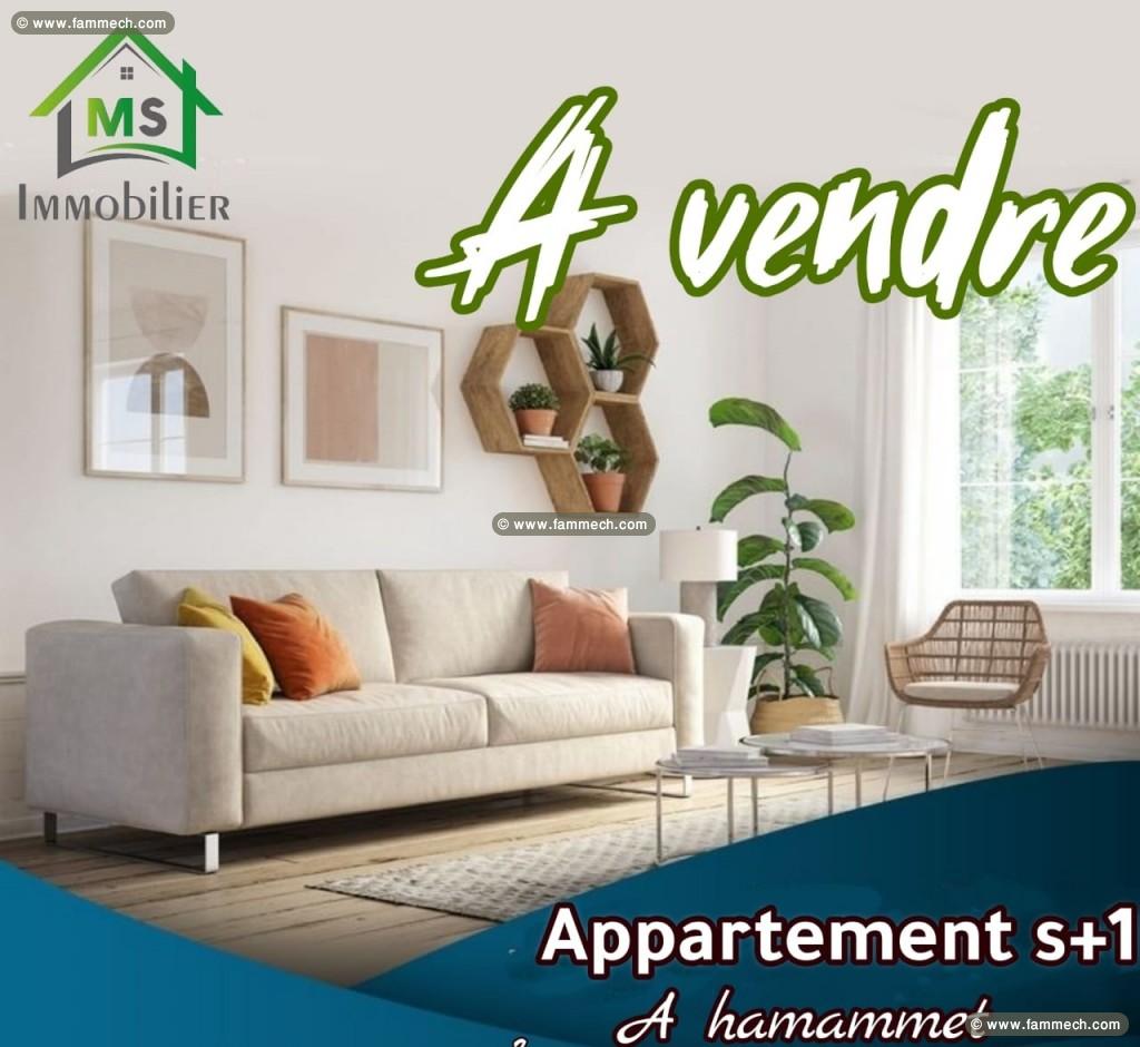 Appartement S+1 tout neuf à vendre 51355351