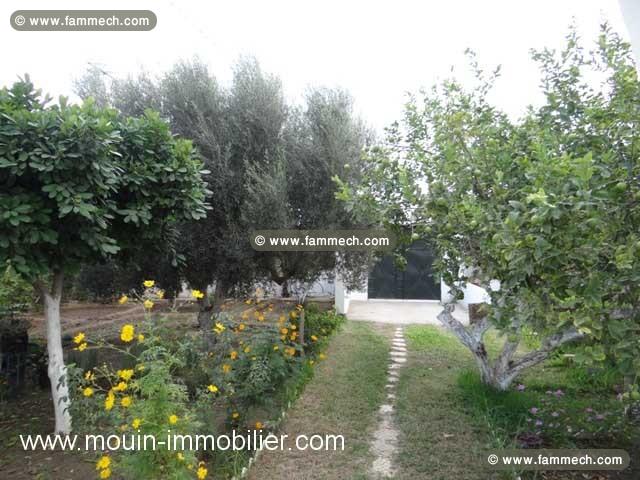 APPARTEMENT ZINA Hammamet Sud AL911
