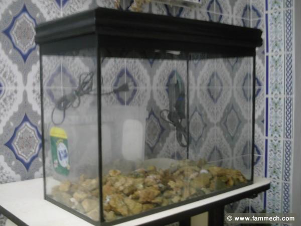 aquarium