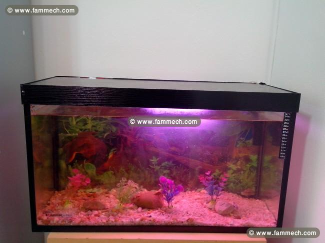 aquarium
