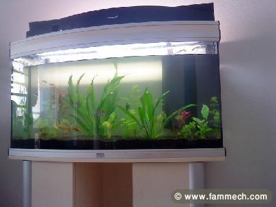 Aquarium 60cm/35cm