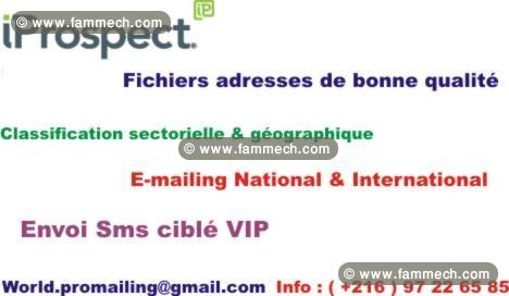 Base 250.000 emails pro avec logiciel d'envoi pro