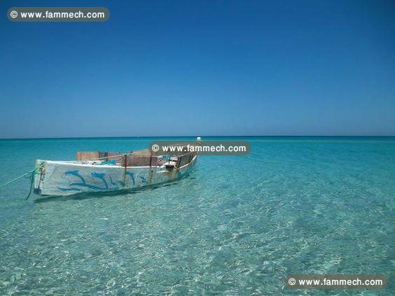 BEAU APPARTEMENT AU CENTRE DE KELIBIA