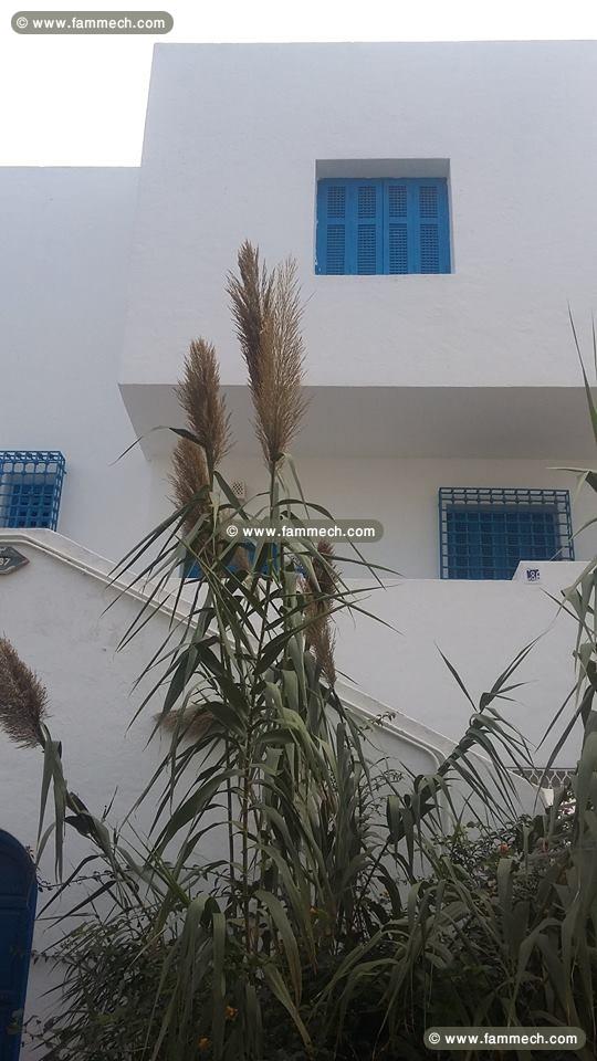 Beau duplex au cœur de Marsa plage CS-566861