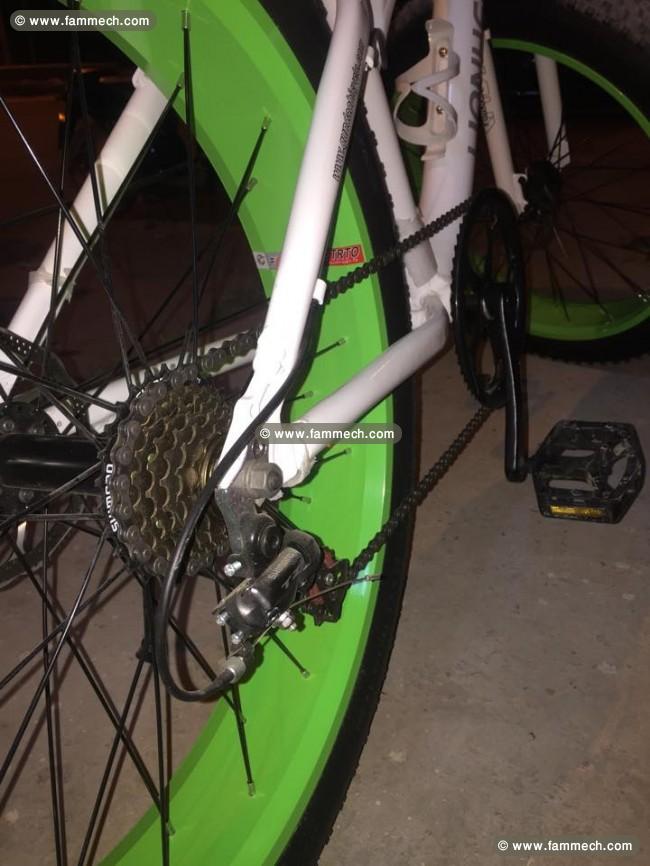 bicyclette lion hero