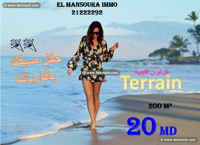 bonne affaire terrain 800m de plage kerkouane 