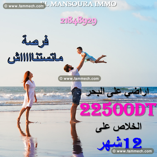 bonne occasion chez el mansoura immo