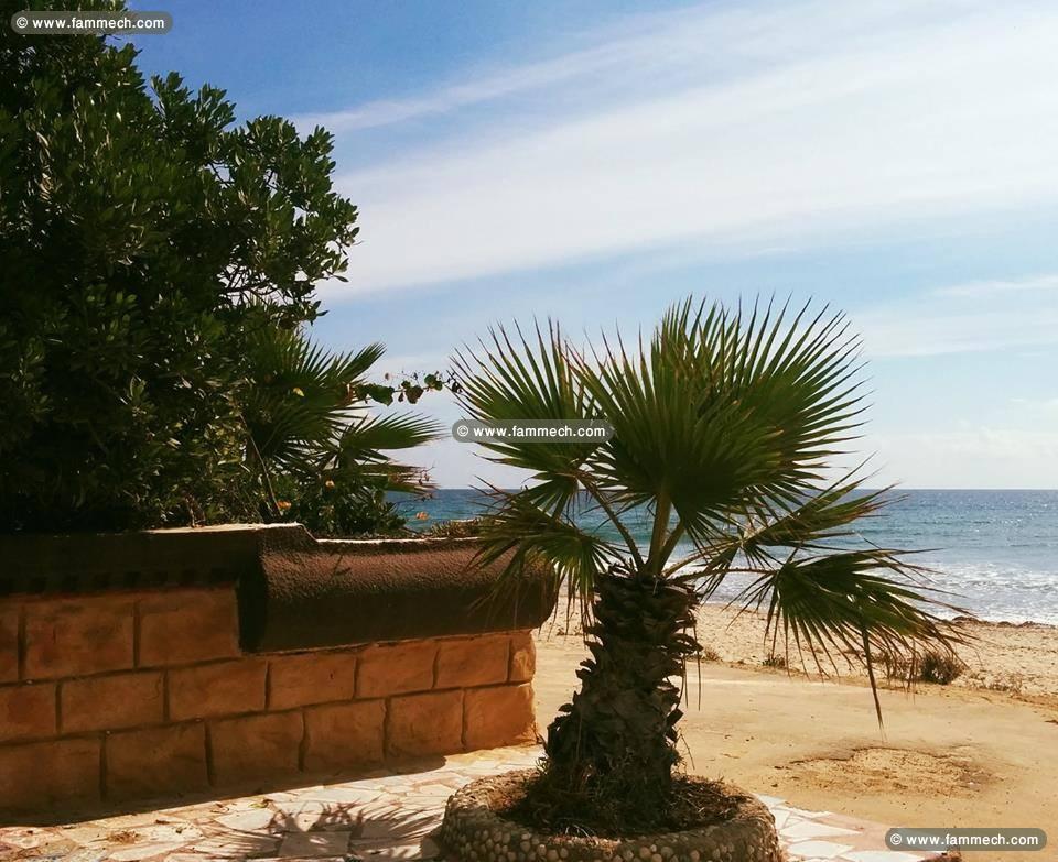 BUNGALOW DE SOLEIL V1080
