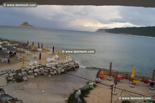 café resto + 3 appartement pied dans l'eau
