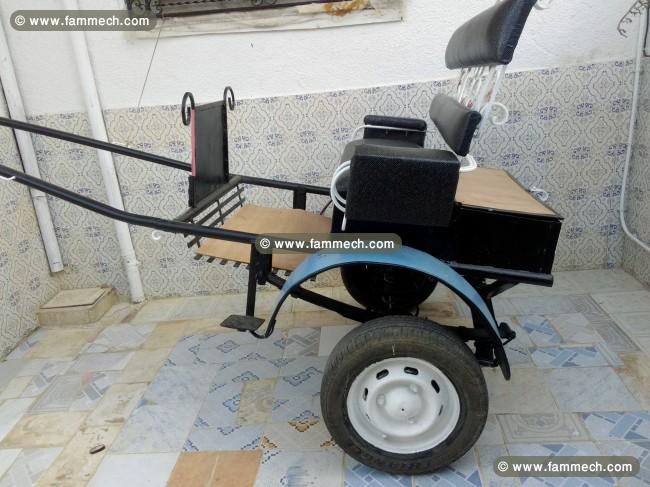 Calise avec son equipement pour cheval