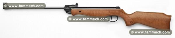 Carabine calibre 5.5