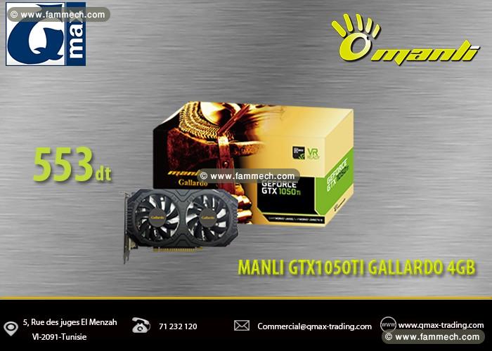 Cartes graphiques Manli à bas prix chez Qmax