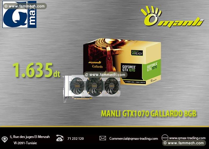 Cartes graphiques Manli à bas prix chez Qmax