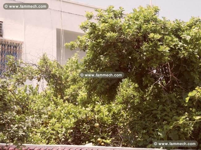 Carthage Hannibal villa CS-5565f3