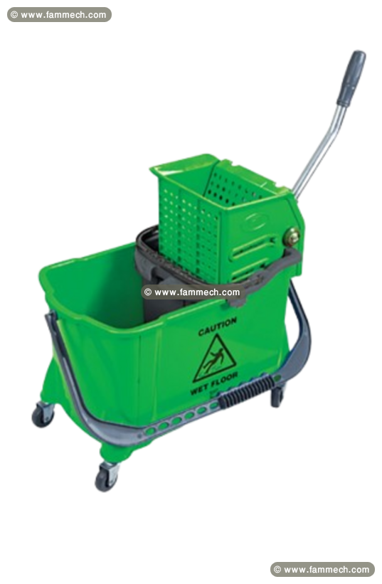 Chariot de Nettoyage Avec 2 Seaux 24 L & 8 L Vert