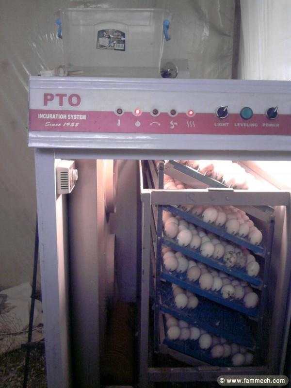 couveuse pour poussins a vendre