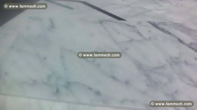 dallage joya fond blanc 