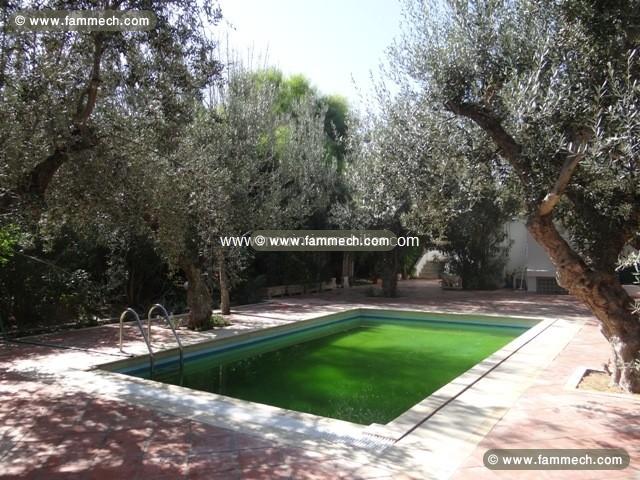 dar l'olivier AL120 zone miramar hammamet 