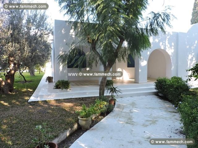 Dar Olivo AL2304 Hammamet